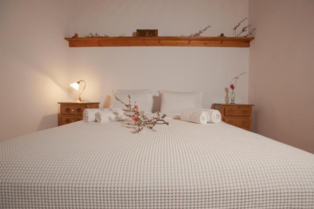 Eremia Rustic House - Entire Villa In Pelion Макринитса Экстерьер фото