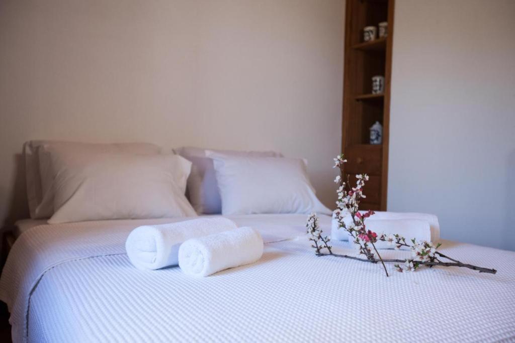 Eremia Rustic House - Entire Villa In Pelion Макринитса Экстерьер фото